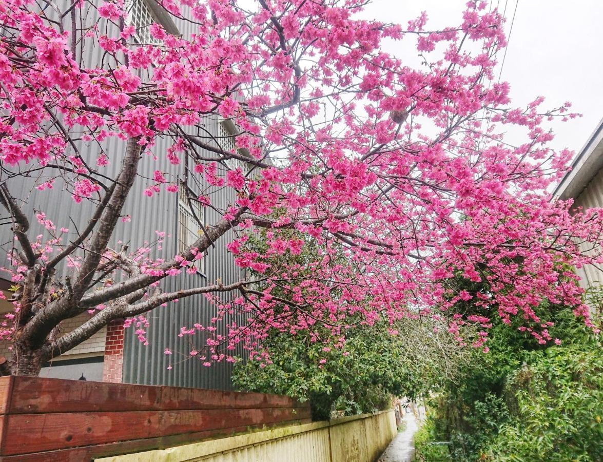 Xinshe Xiao Shu Time Homestay Екстер'єр фото